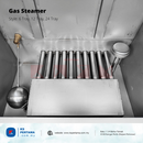 Stainless Steel Gas Steamer