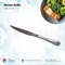 Stainless Steel Dinner Knife V Shape