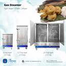 Stainless Steel Gas Steamer